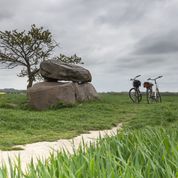 Rerik und Umgebung: Wandern, Radeln, Sonnen, Sport